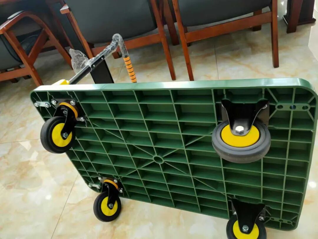 202673